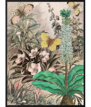 Nature PSCXL59 (primary).jpg
