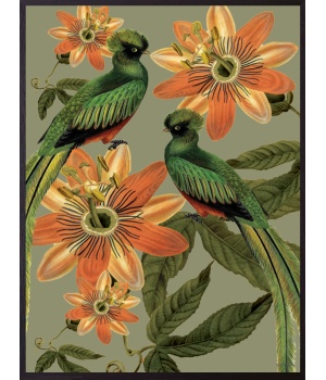 Green Birds primary.jpg