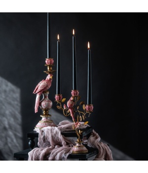 pink parrot.jpg