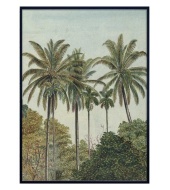 Megaposter Palms