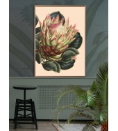 Megaposter Creme Protea