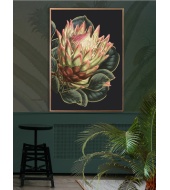 Megaposter Black Protea