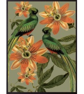 Megaposter Green Birds
