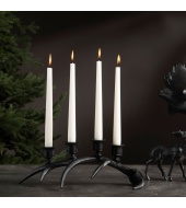 Küünlajalg Antler