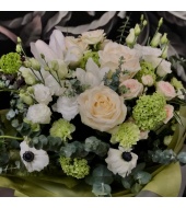 Lillekimp Cloud Dancer