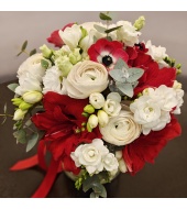 Lillekimp Queen Mary