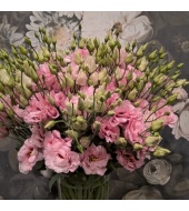 Preeriakell (Lisianthus)