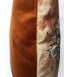 Coral poppy 3.jpg
