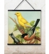 birds 50x50cm.jpg